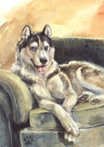 Rating: Safe Score: 0 Tags: 2010 ambiguous_gender black_body black_fur black_nose black_pawpads blotch brown_background brown_body brown_fur canid canine canis claws domestic_dog e621 feral fluffy fur furniture green_furniture heterochromia husky looking_at_viewer mammal nordic_sled_dog pawpads paws simple_background sofa solo spitz tongue white_body white_fur User: bunchy7s Rating: Safe Score: 0 Tags: 2010 ambiguous_gender black_body black_fur black_nose black_pawpads blotch brown_background brown_body brown_fur canid canine canis claws domestic_dog e621 feral fluffy fur furniture green_furniture heterochromia husky looking_at_viewer mammal nordic_sled_dog pawpads paws simple_background sofa solo spitz tongue white_body white_fur User: bunchy7s