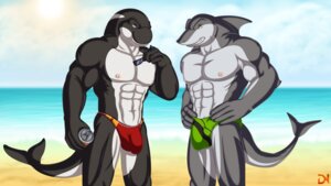 Rating: Explicit Score: 0 Tags: 16:9 abs anthro aquatic beach beverage_can biceps big_muscles bikini_thong bulge cetacean clothed clothing cloud countershading detailed_background dolphin dream_and_nightmare duo e621 fish great_white_shark green_clothing green_swimwear hi_res looking_at_viewer mackerel_shark male mammal muscular muscular_male oceanic_dolphin orca outside pecs red_clothing red_swimwear sand sea seaside shark skimpy sky speedo summer sunny swimwear tail toothed_whale topless water white_shark widescreen User: bunchy7s