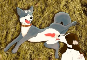 Rating: Explicit Score: 0 Tags: akita ambiguous_gender ball_lick balls bird_dog canid canine canis collar domestic_dog duo e621 erection eyes_closed feral french_spaniel genitals gin_(ginga) ginga_(series) hunting_dog licking looking_pleasured male mammal metalfox open_mouth oral penis sex smith_(ginga) spaniel spitz tail tongue tongue_out User: bunchy7s Rating: Explicit Score: 0 Tags: akita ambiguous_gender ball_lick balls bird_dog canid canine canis collar domestic_dog duo e621 erection eyes_closed feral french_spaniel genitals gin_(ginga) ginga_(series) hunting_dog licking looking_pleasured male mammal metalfox open_mouth oral penis sex smith_(ginga) spaniel spitz tail tongue tongue_out User: bunchy7s