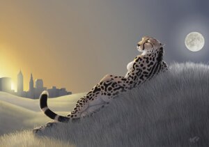 Rating: Safe Score: 0 Tags: 2010 anthro biped black_body black_fur black_nose black_spots breasts butt casual_nudity cheetah city claws detailed_background digital_media_(artwork) e621 feet felid feline female full_moon fur grass hand_on_hip hill king_cheetah lying mammal markings moon multicolored_body multicolored_fur myenia nude on_side orange_eyes outdoor_nudity outside pawpads paws photorealism plant realistic side_boob signature sky skyline slim solo spots spotted_body spotted_fur sunset tail whiskers white_body white_fur yellow_body yellow_fur User: bunchy7s Rating: Safe Score: 0 Tags: 2010 anthro biped black_body black_fur black_nose black_spots breasts butt casual_nudity cheetah city claws detailed_background digital_media_(artwork) e621 feet felid feline female full_moon fur grass hand_on_hip hill king_cheetah lying mammal markings moon multicolored_body multicolored_fur myenia nude on_side orange_eyes outdoor_nudity outside pawpads paws photorealism plant realistic side_boob signature sky skyline slim solo spots spotted_body spotted_fur sunset tail whiskers white_body white_fur yellow_body yellow_fur User: bunchy7s