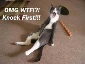 Rating: Questionable Score: 0 Tags: 4:3 ambiguous_gender caught_in_the_act domestic_cat e621 english_text felid feline felis feral grandfathered_content image_macro looking_at_viewer mammal masturbation meme omg real solo surprised tail text unknown_artist what User: bunchy7s Rating: Questionable Score: 0 Tags: 4:3 ambiguous_gender caught_in_the_act domestic_cat e621 english_text felid feline felis feral grandfathered_content image_macro looking_at_viewer mammal masturbation meme omg real solo surprised tail text unknown_artist what User: bunchy7s