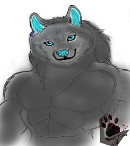 Rating: Questionable Score: 0 Tags: anthro blue_sclera canid canine canis e621 front_view lobodelamuerte lobodelamuerte_(character) looking_at_viewer male mammal solo wolf wolfblack User: bunchy7s