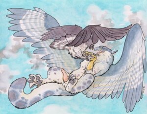 Rating: Explicit Score: 0 Tags: 2011 ambiguous_gender avian balls bird blue cloaca feral flying gryphon kaputotter male mythological_avian mythological_creature mythology on_back penis rule34 wings User: bunchy7s