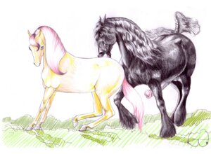 Rating: Explicit Score: 0 Tags: 2012 animal_genitalia animal_penis balls black_body black_eyes black_fur black_hair boobcat day draft_horse duo e621 equid equine equine_genitalia equine_penis erection female feral feral_on_feral flared_penis friesian fur genitals grass grey_eyes hair hooves horse looking_back male male/female mammal mane nibbling nude outside penis pink_hair plant pony ponytail quadruped simple_background sky tail traditional_media_(artwork) yellow_body yellow_fur User: bunchy7s