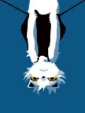 Rating: Safe Score: 0 Tags: 3:4 ame_(daisuke_amaya) daisuke_amaya dangling domestic_cat e621 felid feline felis female hang_in_there low_res mammal solo thumbnail upside_down User: bunchy7s
