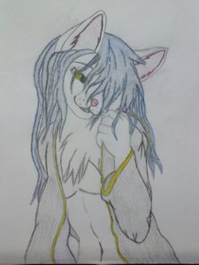Rating: Safe Score: 0 Tags: 3:4 :3 anima_scura anthro blue_hair clothed clothing e621 femboy fur hair hood looking_away male midriff navel open_clothing open_robe robe shy slim smile solo tuft unknown_artist yellow_eyes User: bunchy7s Rating: Safe Score: 0 Tags: 3:4 :3 anima_scura anthro blue_hair clothed clothing e621 femboy fur hair hood looking_away male midriff navel open_clothing open_robe robe shy slim smile solo tuft unknown_artist yellow_eyes User: bunchy7s