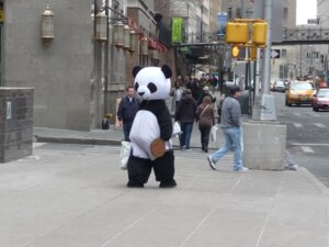 Rating: Safe Score: 0 Tags: 4:3 anonymous_artist anthro bear clothing costume e621 fursuit giant_panda grandfathered_content group human male mammal new_york real User: bunchy7s Rating: Safe Score: 0 Tags: 4:3 anonymous_artist anthro bear clothing costume e621 fursuit giant_panda grandfathered_content group human male mammal new_york real User: bunchy7s