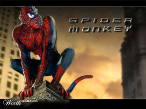 Rating: Safe Score: 0 Tags: 4:3 anthro ccz e621 feet grandfathered_content haplorhine humor male mammal marvel monkey photo_manipulation photomorph prehensile_feet primate pun real solo spider-man_(character) spider-man_(series) tail third-party_edit toes worth1000 User: bunchy7s