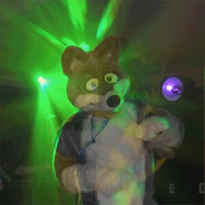 Rating: Safe Score: 0 Tags: 1:1 animated animated_gif anthro canid canine canis clothing costume dancing domestic_dog e621 epilepsy_warning fursuit grandfathered_content husky low_res male mammal nordic_sled_dog rave real short_playtime solo spitz wolphie User: bunchy7s