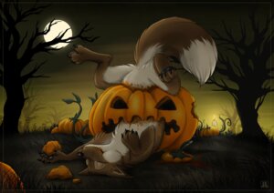 Rating: Safe Score: 0 Tags: candle canid canine conditional_dnp dipstick_tail e621 eyes_closed female feral fire fluffy fluffy_tail food fox fruit halloween holidays jack-o'-lantern mammal markings moon nom outside plant pumpkin solo tail tail_markings tani_da_real tree wood User: bunchy7s Rating: Safe Score: 0 Tags: candle canid canine conditional_dnp dipstick_tail e621 eyes_closed female feral fire fluffy fluffy_tail food fox fruit halloween holidays jack-o'-lantern mammal markings moon nom outside plant pumpkin solo tail tail_markings tani_da_real tree wood User: bunchy7s