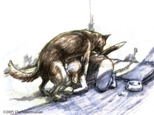 Rating: Explicit Score: 0 Tags: 2005 4:3 all_fours animal_costume bdsm bestiality bondage_gear bondage_gloves buttplug buttplug_tail canid canine canis chain chain_leash chained_to_wall clothing costume crotchless_clothing dog_costume dog_suit domestic_dog dominant dominant_feral dominant_male duo e621 face_fucking face_mounting fake_tail fellatio female female_on_feral feral feral_dominating_human feral_penetrating feral_penetrating_human forced forced_oral fursuit german_shepherd handwear head_tilt herding_dog human human_on_feral human_penetrated human_pet interspecies irrumatio leash male male/female male_on_human mammal oral oral_penetration pastoral_dog penetration penile penis_in_mouth petplay plug_(sex_toy) roleplay sex sex_toy simple_background tail the_veterinarian white_background User: bunchy7s