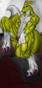 Rating: Explicit Score: 0 Tags: abs anthro bandai_namco biceps bigshow black_sclera canid canine digimon digimon_(species) e621 female fur genitals hi_res hyper mammal muscular muscular_anthro muscular_female renamon smile solo tail vulva what white_body white_fur yellow_body yellow_fur za_warudo User: bunchy7s