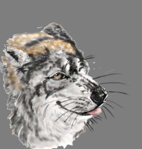Rating: Safe Score: 0 Tags: alpha_channel ambiguous_gender canid canine canis detailed e621 feral gdane low_res mammal northwestern_wolf realistic simple_background solo tongue tongue_out wolf User: bunchy7s Rating: Safe Score: 0 Tags: alpha_channel ambiguous_gender canid canine canis detailed e621 feral gdane low_res mammal northwestern_wolf realistic simple_background solo tongue tongue_out wolf User: bunchy7s