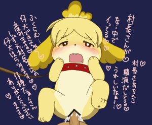 Rating: Explicit Score: 0 Tags: animal_crossing anthro blush bodily_fluids canid canine canis collar cum cum_inside domestic_dog duo e621 enon erection female female_focus female_on_human female_penetrated first_person_view genital_fluids genitals heart_symbol human isabelle_(animal_crossing) japanese_text leash male male/female male_penetrating male_penetrating_female male_pov mammal nintendo nude penetrating_pov penetration penile penile_penetration penis penis_in_vagina purple_background sex shih_tzu simple_background solo_focus text toy_dog translated vaginal vaginal_penetration User: bunchy7s