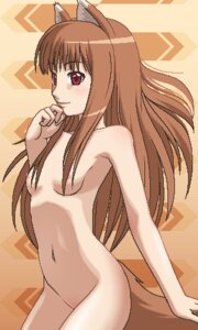 Rating: Questionable Score: 0 Tags: 3:5 5_fingers abstract_background aliasing animal_humanoid breasts brown_body brown_fur brown_hair canid canid_humanoid canine canine_humanoid canis casual_nudity digital_media_(artwork) e621 female fingers fur hair holo_(spice_and_wolf) humanoid humanoid_hands long_hair low_res mammal mammal_humanoid nipples nude oekaki red_eyes small_breasts solo spice_and_wolf tan_body tan_skin unknown_artist wolf wolf_humanoid y2k_(graphic_design) User: bunchy7s