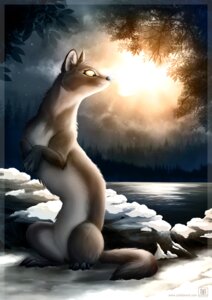 Rating: Safe Score: 0 Tags: conditional_dnp detailed_background e621 female feral gulonine light lighting mammal marten mustelid musteline night outside quadruped sky snow solo tail tani_da_real User: bunchy7s