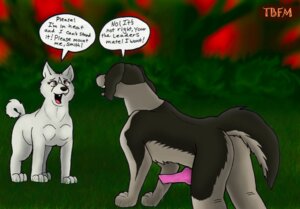 Rating: Explicit Score: 0 Tags: canine female feral ginga_(series) knot male penis rule34 sakura_(ginga) smith_(ginga) User: bunchy7s Rating: Explicit Score: 0 Tags: canine female feral ginga_(series) knot male penis rule34 sakura_(ginga) smith_(ginga) User: bunchy7s