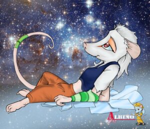 Rating: Safe Score: 0 Tags: albino albinoart american_opossum anthro e621 fur male mammal marsupial paper red_eyes solo tail virginia_opossum white_body white_fur User: bunchy7s