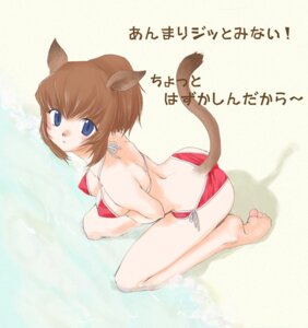 Rating: Questionable Score: 0 Tags: animal_humanoid bikini blue_eyes brown_hair cat_humanoid clothed clothing colored_edge_bikini e621 felid felid_humanoid feline feline_humanoid female final_fantasy final_fantasy_xi hair humanoid japanese_text looking_at_viewer mammal mammal_humanoid neck-tie_bikini neck-tie_clothing neck-tie_swimwear side-tie_bikini side-tie_clothing side-tie_swimwear sitting skimpy solo square_enix string_bikini swimwear tail text toroshio translated triangle_bikini two-piece_swimsuit User: bunchy7s