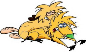 Rating: Explicit Score: 0 Tags: ambiguous_penetration angry_beavers anthro beaver female furry johnofe male male/female nickelodeon norbert oc original_character rodent rule34 sex straight tagme User: bunchy7s