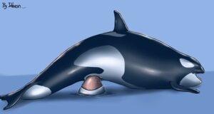 Rating: Explicit Score: 0 Tags: aquatic blue_background bodily_fluids cetacean dildo dildo_sitting dolorcin dolphin e621 female feral genital_fluids genitals large_penetration mammal masturbation nude oceanic_dolphin open_mouth orca penetration sex_toy simple_background solo tongue tongue_out toothed_whale toying_self vaginal vaginal_fluids vaginal_masturbation vaginal_penetration vulva User: bunchy7s