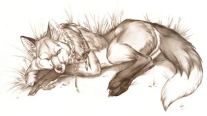 Rating: Safe Score: 0 Tags: 2006 4_fingers ambiguous_gender anthro armband biped braided_hair canid canine claws crossed_arms digitigrade dipstick_tail e621 feathers feet fingers fox fur gloves_(marking) grass hair inner_ear_fluff leg_markings looking_at_viewer lying mammal markings monochrome multicolored_tail nduli nude on_front one_eye_closed plant side_view simple_background socks_(marking) solo tail tail_markings tribal tuft whiskers white_background User: bunchy7s