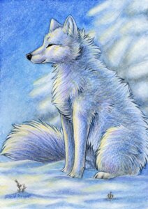 Rating: Safe Score: 0 Tags: 2011 ambiguous_gender arctic_fox canid canine digitigrade e621 feral fox fur mammal narrowed_eyes outside silentravyn sky snow solo tail traditional_media_(artwork) true_fox white_body white_fur winter User: bunchy7s