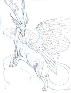 Rating: Safe Score: 0 Tags: ambiguous_gender dragon e621 feathered_dragon feathered_scalie feathered_wings feathers feral hibbary hibbary_(character) horn lying monochrome mythological_creature mythological_scalie mythology pen_(artwork) scalie sketch solo tail traditional_media_(artwork) wings User: bunchy7s