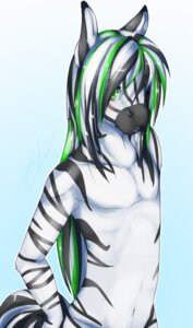Rating: Safe Score: 0 Tags: anthro black_hair e621 equid equine facial_markings green_eyes green_hair hair hair_over_eye head_markings jack_hyperfreak_(hyperfreak666) long_hair looking_at_viewer male mammal markings multicolored_hair muzzle_(marking) nude one_eye_obstructed open_mouth outline snout snout_markings solo stripes tartii white_hair zebra User: bunchy7s