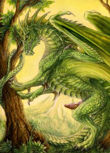 Rating: Explicit Score: 0 Tags: 2013 chromatic_dragon_(dnd) detailed_background dragon dragon_(dnd) dungeons_and_dragons e621 erection european_mythology feral fin genitals green_body green_dragon_(dnd) green_skin green_theme hasbro horn leaning leaning_forward looking_at_viewer male membrane_(anatomy) membranous_wings mythological_creature mythological_scalie mythology nature nude outside penis plant rukis scalie smile solo tail teeth traditional_media_(artwork) tree western_dragon wings wizards_of_the_coast User: bunchy7s