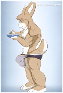 Rating: Explicit Score: 0 Tags: aaron_(artist) anthro athletic balls barefoot biceps biped border bowl briefs brown_body brown_fur brown_hair bulge butt clothed clothing container cutlery digital_media_(artwork) e621 feet fur genitals green_eyes hair half-erect hi_res kitchen_utensils lagomorph leporid male mammal mathew_porter muscular muscular_anthro pecs penis penis_base pose rabbit solo spoon standing tail tan_body tan_fur teeth tools topless underwear white_body white_border white_fur User: bunchy7s