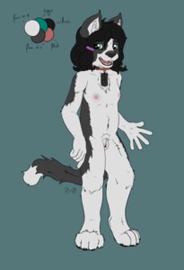 Rating: Explicit Score: 0 Tags: 2014 absurd_res accessory anatomically_correct anatomically_correct_genitalia anatomically_correct_vulva animal_genitalia animal_vulva anthro canid canine canine_genitalia canine_vulva canis chelsea_chamberlain collar domestic_dog e621 electronics feet female fuzzywuff genitals hair_accessory hairclip hi_res hindpaw karelian_bear_dog mammal model_sheet nipples nude paws solo spitz unavailable_at_source usb usb_necklace vulva User: bunchy7s