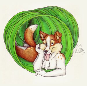 Rating: Safe Score: 0 Tags: 2007 5_fingers agility_tunnel anthro arm_support biped border_collie brown_body brown_fur butt canid canine canis chest_tuft collie dipstick_tail domestic_dog e621 feet fingers fur herding_dog leaning_on_elbow looking_at_viewer lying male mammal markings multicolored_tail nude on_front open_mouth open_smile pandaesque pastoral_dog raised_tail sheepdog simple_background smile solo tail tail_markings tongue tongue_out tuft white_background white_body white_fur User: bunchy7s Rating: Safe Score: 0 Tags: 2007 5_fingers agility_tunnel anthro arm_support biped border_collie brown_body brown_fur butt canid canine canis chest_tuft collie dipstick_tail domestic_dog e621 feet fingers fur herding_dog leaning_on_elbow looking_at_viewer lying male mammal markings multicolored_tail nude on_front open_mouth open_smile pandaesque pastoral_dog raised_tail sheepdog simple_background smile solo tail tail_markings tongue tongue_out tuft white_background white_body white_fur User: bunchy7s