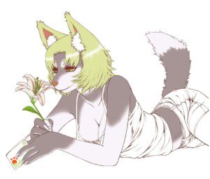 Rating: Safe Score: 0 Tags: anthro biped breasts canid canine cleavage clothed clothing e621 female flower hyoushi_maigo japanese lying mammal plant simple_background solo tail white_background User: bunchy7s