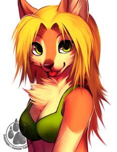 Rating: Safe Score: 0 Tags: 2012 anthro blonde_hair breasts canid canine canis chest_tuft clothed clothing digital_media_(artwork) digital_painting_(artwork) e621 falvie female green_eyes hair half-length_portrait long_hair looking_at_viewer mammal painting_(artwork) portrait redwulf simple_background smile solo tongue tongue_out tuft white_background wolf User: bunchy7s Rating: Safe Score: 0 Tags: 2012 anthro blonde_hair breasts canid canine canis chest_tuft clothed clothing digital_media_(artwork) digital_painting_(artwork) e621 falvie female green_eyes hair half-length_portrait long_hair looking_at_viewer mammal painting_(artwork) portrait redwulf simple_background smile solo tongue tongue_out tuft white_background wolf User: bunchy7s