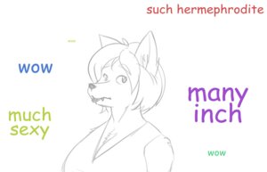 Rating: Safe Score: 0 Tags: 2014 anthro breasts canid canine cleavage clothed clothing corruption_of_champions doge dogelore e621 english_text female fox hair mammal meme parody simple_background solo stowaway text urta white_background User: bunchy7s