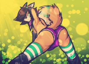 Rating: Questionable Score: 0 Tags: abstract_background anthro armwear boots brown_hair bulge canid canine clothing e621 elbow_gloves femboy footwear fox gloves green_markings hair handwear kerchief legwear light male mammal markings panties pattern_clothing pattern_legwear shoes simple_background slickfox solo stockings striped_clothing striped_legwear stripes sunlight underwear User: bunchy7s