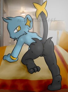 Rating: Explicit Score: 0 Tags: 3_toes all_fours anthro anthrofied anus bed biped black_body black_fur blue_body blue_fur butt digital_media_(artwork) distracting_watermark e621 feet felid female fur furniture generation_4_pokemon genitals hi_res hindpaw inside kneeling looking_at_viewer looking_back mammal multicolored_body multicolored_fur nintendo on_bed on_one_knee paws pokemon pokemon_(species) pokemorph raised_tail redemption3445 shinx solo tail toes two_tone_body two_tone_fur vulva watermark User: bunchy7s