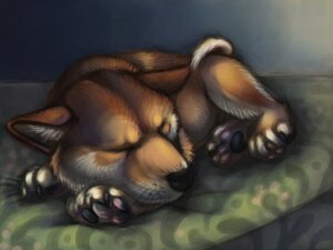 Rating: Safe Score: 0 Tags: 2011 4:3 canid canine canis detailed detailed_background domestic_dog e621 eyes_closed feral male mammal quadruped realistic shiba_inu shikoku_(artist) sleeping solo spitz tail User: bunchy7s