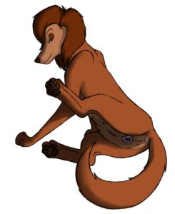 Rating: Explicit Score: 0 Tags: all_dogs_go_to_heaven anatomically_correct anatomically_correct_genitalia anatomically_correct_vulva animal_genitalia animal_vulva anus bird_dog bodily_fluids canid canine canine_genitalia canine_vulva canis cum domestic_dog don_bluth e621 female feral genital_fluids genitals hunting_dog irish_setter mammal marjani nipples pawpads presenting raised_leg sasha_la_fleur setter simple_background solo tail vulva white_background User: bunchy7s