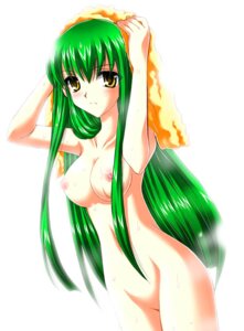 Rating: Explicit Score: 0 Tags: breasts c.c. code_geass female green_hair long_hair midriff nipples nude rule34 scar solo tamagawa_yukimaru towel wet yellow_eyes User: bunchy7s