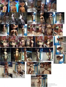 Rating: Explicit Score: 0 Tags: breasts denike doll e621 female grandfathered_content hi_res mammal mouse murid murine nipples nude rodent sculpture solo statue tail traditional_media_(artwork) unfinished User: bunchy7s