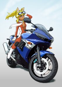 Rating: Safe Score: 0 Tags: alternative_fashion animal_humanoid bikesuit blonde_hair blue_eyes breasts canid canid_humanoid canine canine_humanoid canis cleavage clothed clothing detailed e621 eyewear female goggles gyaru hair hi_res human_and_animal_ears humanoid j-fashion jumpsuit leather liru_(magical_pokaan) magical_pokaan mammal mammal_humanoid motorcycle multi_ear mythological_canine mythological_creature mythology ponytail riding_motorcycle scarf simple_background solo tokka tokka_(artist) unzipped unzipped_jumpsuit vehicle werecanid werecanine werecreature werewolf wolf wolf_humanoid yamaha_motor_corporation zipper zipper_jumpsuit User: bunchy7s Rating: Safe Score: 0 Tags: alternative_fashion animal_humanoid bikesuit blonde_hair blue_eyes breasts canid canid_humanoid canine canine_humanoid canis cleavage clothed clothing detailed e621 eyewear female goggles gyaru hair hi_res human_and_animal_ears humanoid j-fashion jumpsuit leather liru_(magical_pokaan) magical_pokaan mammal mammal_humanoid motorcycle multi_ear mythological_canine mythological_creature mythology ponytail riding_motorcycle scarf simple_background solo tokka tokka_(artist) unzipped unzipped_jumpsuit vehicle werecanid werecanine werecreature werewolf wolf wolf_humanoid yamaha_motor_corporation zipper zipper_jumpsuit User: bunchy7s