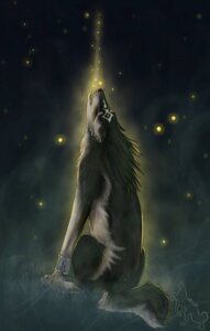 Rating: Safe Score: 0 Tags: 2007 ambient_arthropod ambient_firefly ambient_insect arthropod bracelet canid canine canis claws colored compression_artifacts detailed_background e621 ear_piercing eyes_closed feral fur fur_markings hi_res howl janaita jewelry link_(wolf_form) male mammal mane markings night nintendo outside piercing quadruped sitting solo tail the_legend_of_zelda wolf User: bunchy7s