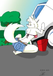 Rating: Safe Score: 0 Tags: 2013 3_toes anthro biped blue_eyes breasts bucket butt canid canine canis car car_wash cleaning clothed clothing container day domestic_dog dr.fluffytail e621 feet female fur grass half-closed_eyes husky kneeling looking_back mammal narrowed_eyes nordic_sled_dog outside pink_nose plant raised_tail skimpy sky smile solo spitz tail toes tree vehicle white_body white_fur User: bunchy7s