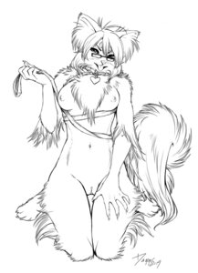 Rating: Explicit Score: 0 Tags: 2009 anthro black_and_white breasts canid canine canis collar dagger_leonelli dagger_leonelli_(character) domestic_dog e621 female genitals hi_res leash mammal monochrome nipples nude papillon sketch solo tail toy_dog vulva walkies User: bunchy7s