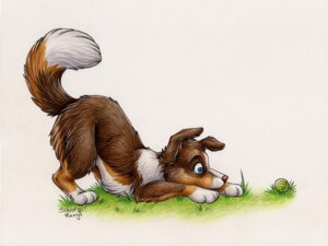 Rating: Safe Score: 0 Tags: 2010 ambiguous_gender ass_up ball canid canine canis dipstick_tail domestic_dog e621 feral lying mammal markings on_front playful silentravyn simple_background solo tail tail_markings traditional_media_(artwork) white_background User: bunchy7s Rating: Safe Score: 0 Tags: 2010 ambiguous_gender ass_up ball canid canine canis dipstick_tail domestic_dog e621 feral lying mammal markings on_front playful silentravyn simple_background solo tail tail_markings traditional_media_(artwork) white_background User: bunchy7s