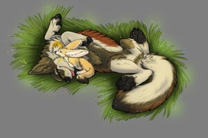 Rating: Safe Score: 0 Tags: 2012 alpha_channel ambiguous_gender big_ears canid canine canis cuddling dark-dragoncat digitigrade duo e621 fennec_fox feral fox graneth grass hybrid lying mammal on_back pawpads paws plant quadruped simple_background size_difference taag tail tongue tongue_out transparent_background true_fox wolf yellow_eyes User: bunchy7s