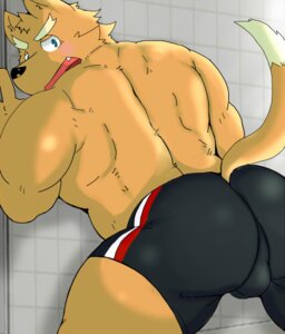 Rating: Questionable Score: 0 Tags: anthro bent_over bottomwear bunta_(sisiwaka_3) canid canine canis clothed clothing domestic_dog e621 low_res male mammal shorts solo tail topless User: bunchy7s