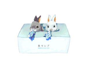Rating: Safe Score: 0 Tags: 5:4 ambiguous_gender black_body black_eyes black_fur duo e621 feral fur goruti japanese_text lagomorph leporid mammal rabbit simple_background text tissue tissue_box translation_request white_background white_body white_fur User: bunchy7s